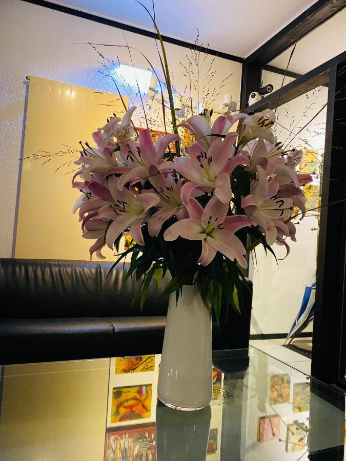 Hotel My 스칠도우 외부 사진